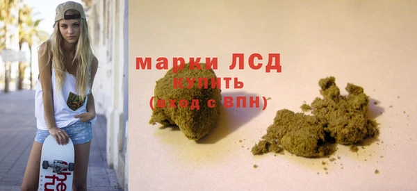 гидра Покачи