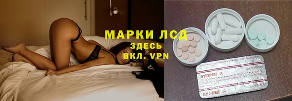 твердый Бородино