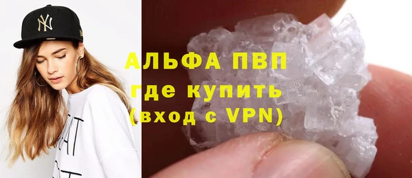 твердый Бородино
