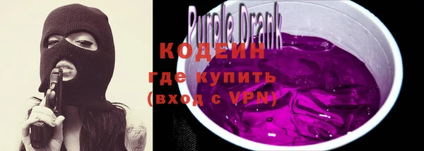 твердый Бородино