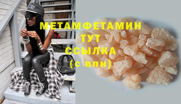 гидра Покачи