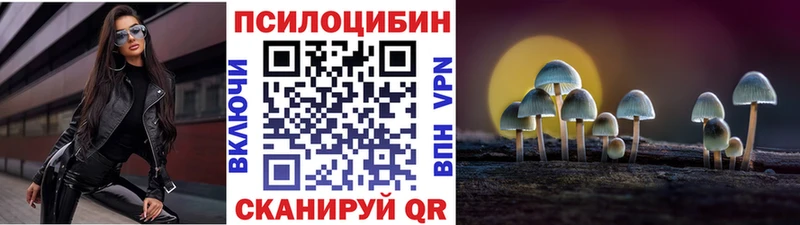 хочу наркоту  Печора  Псилоцибиновые грибы Psilocybe 